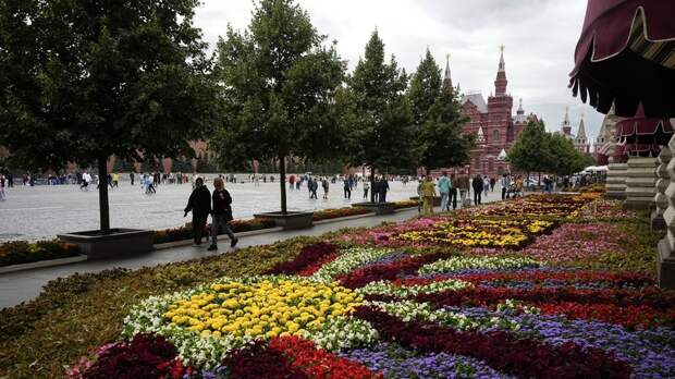 Москва показал самый низкий уровень безработицы среди мегаполисов G20