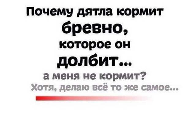 Картинки с надписями мем, прикол, юмор