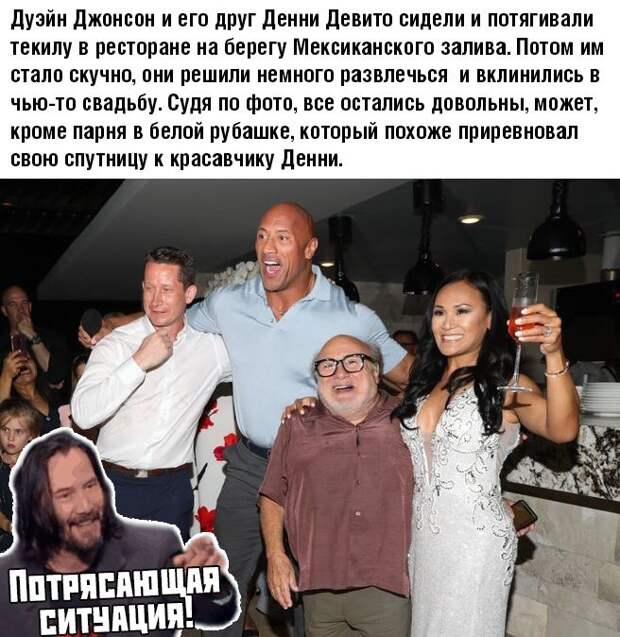kartinok-prikolnyh-podborka-kartinki-smeshnye-kartinki-fotoprikoly