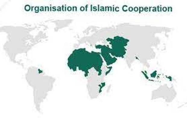 Competition Analysis - Organisation of Islamic Cooperation (OIC) ✓  Organisation of Islamic Cooperation is an international organization  founded in 1969, consisting of 57 member states. ✓ It is the second largest  inter-governmental