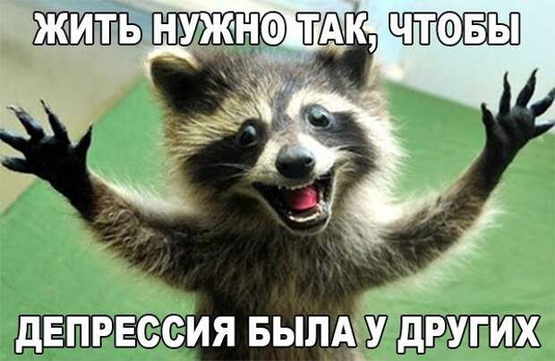 _tcZAnW_Bus