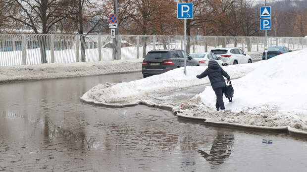 Эколог Рыбальченко предупредил об угрозе наводнений в столичном регионе