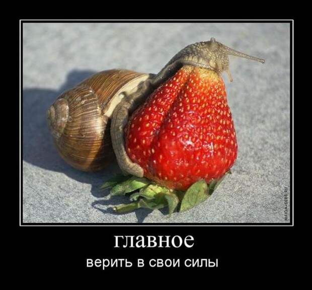 Анекдотики коротенькие, но симпатишные, как раз на середину недели. Оторвитесь ужо от работы! Анекдотики коротенькие, но симпатишные, как раз на середину недели. Оторвитесь ужо от работы!