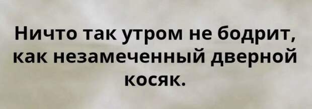 20 Открыток С Неподражаемым Сарказмом