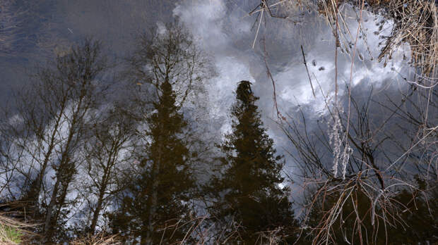 Пропал по сценарию Усольцевых: волонтеры прекратили поиски экс-спецназовца