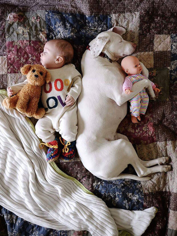 Когда собака и ребёнок - одна семья...