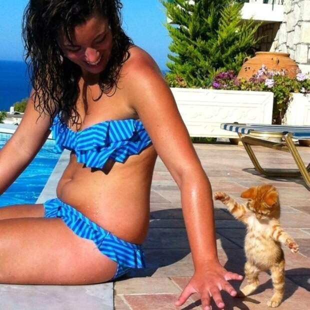 lolcats30 100 лучших фотографий кошек всех времен и народов
