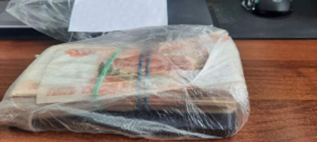 В Брянске полицейские задержали сообщника мошенников, похитившего у пенсионеров более полутора миллионов рублей