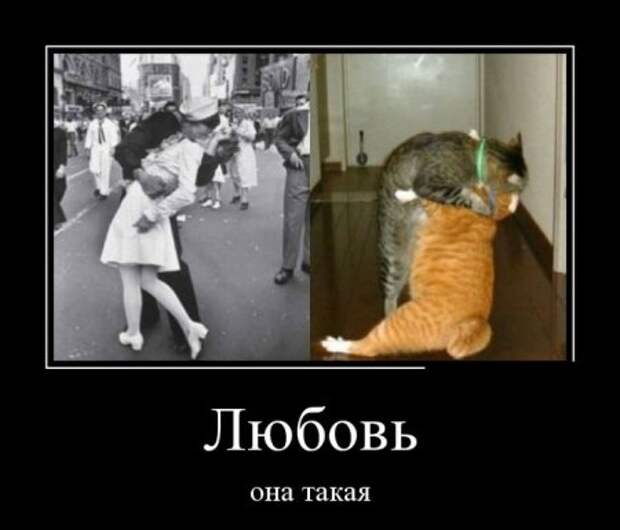 Демотиваторы (30 фото)