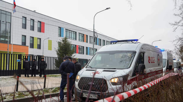 Депутат Вегнер связал нападения в школах с российскими сериалами о полиции