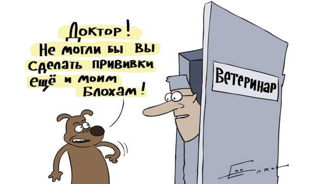 Блог Павла Аксенова. Анекдоты от Пафнутия 