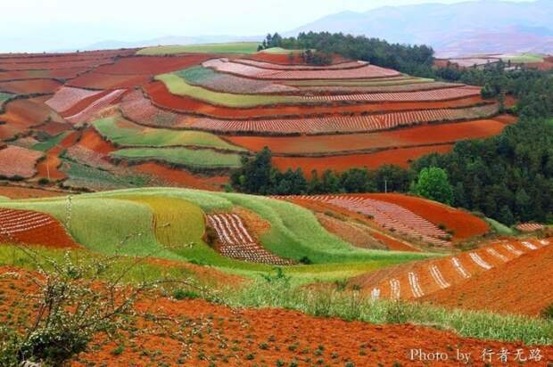 terraoko 2014 09 10 06 231 Красные террасовые поля в Китае.
