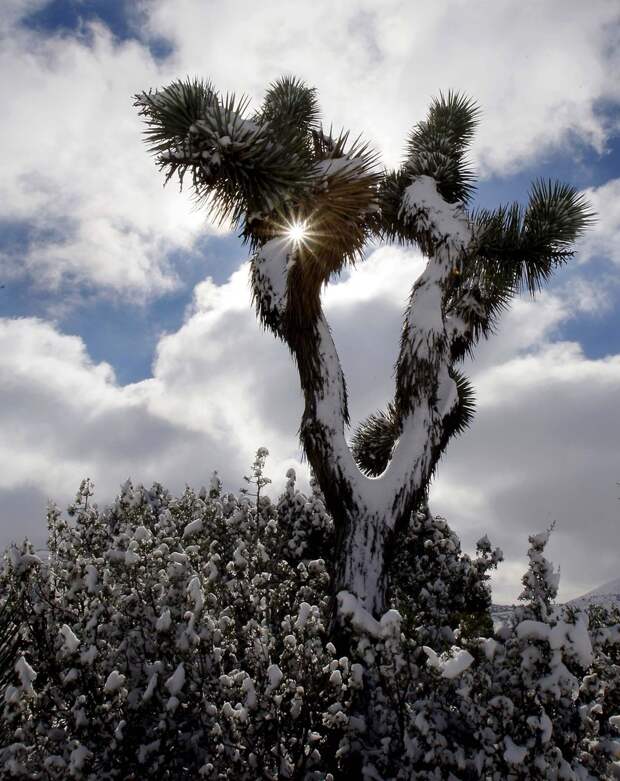 winterbeauty56