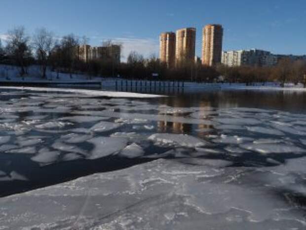 Фото: Ольга Чумаченко