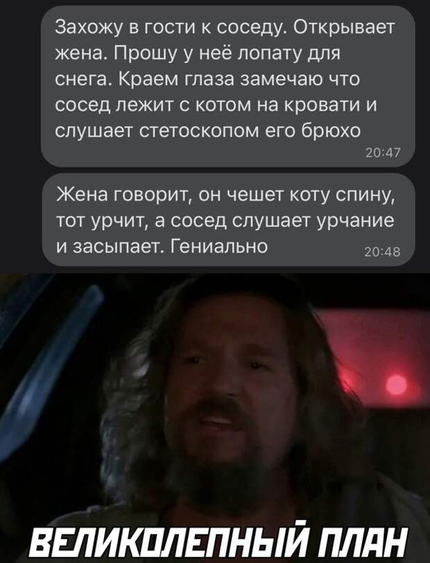 Смешные картинки 17 декабря 2021 года