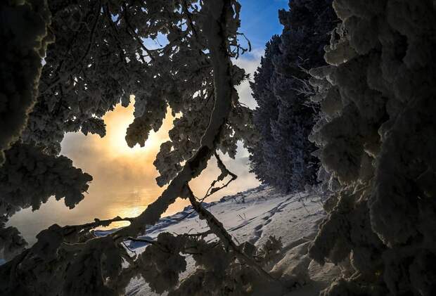 Появились подробности о странном звонке сыну Усольцевых после исчезновения родных