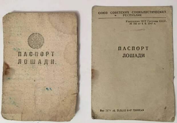 Паспорт лошади.jpg Паспорт лошади.jpg