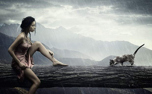 Девушка, rain, кошка, дождь обои на рабочий стол и картинки 50565