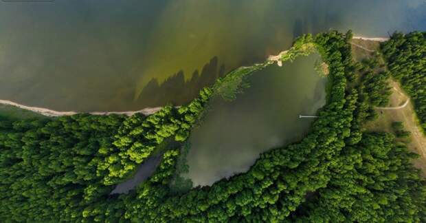 Озеро Лебедь. балтийское море, куршская коса, россия