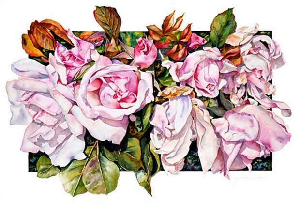 Цветы в акварели Sally Robertson (62 картины)