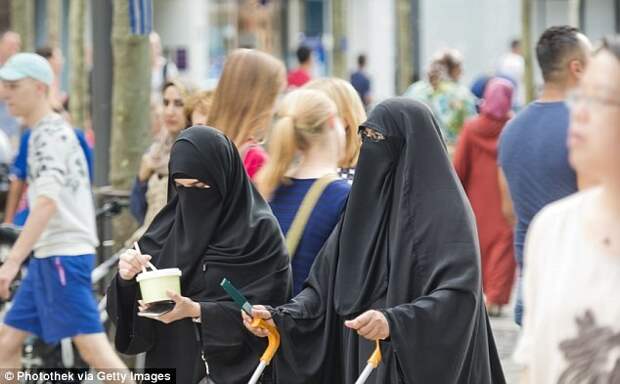 Голландия станет следующей европейской страной, где запретят никаб и паранджу голландия, ислам, никаб, паранджа