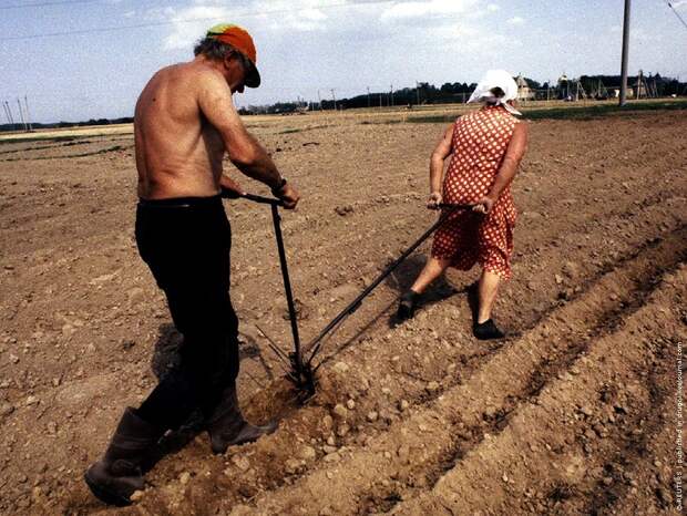 1993 год в цвете