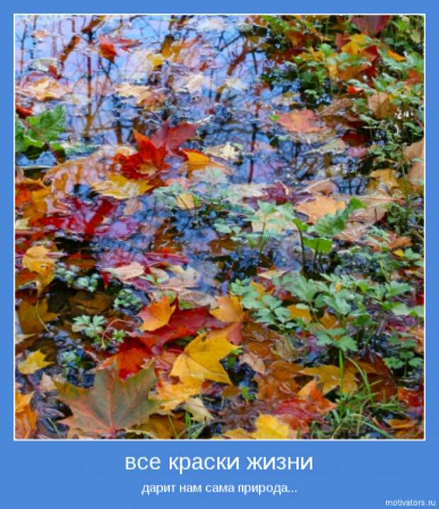 Мотиваторы с интересным смыслом.