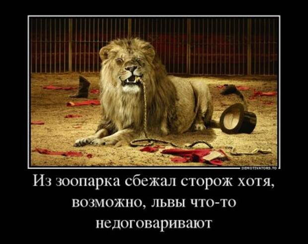 Демотиваторы и приколы атакуют!!!
