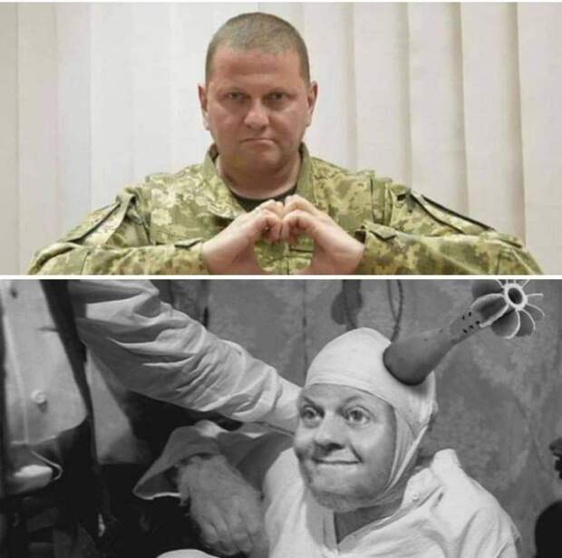 Экс-комбриг ВСУ: Залужный был действительно ранен. Ракету навёл офис Зеленского