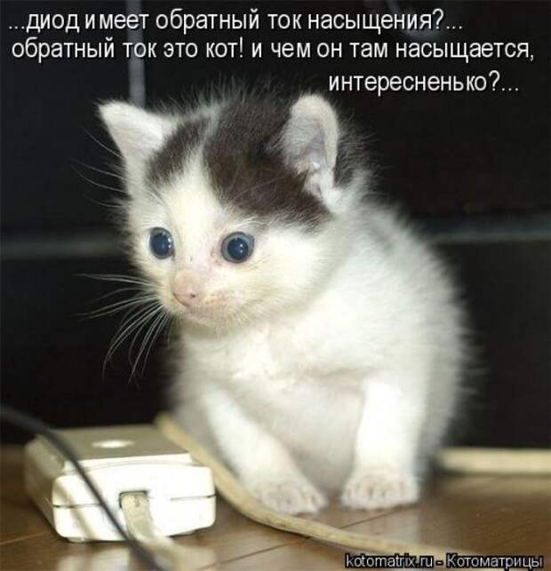 Новая котоматрица (37 шт)