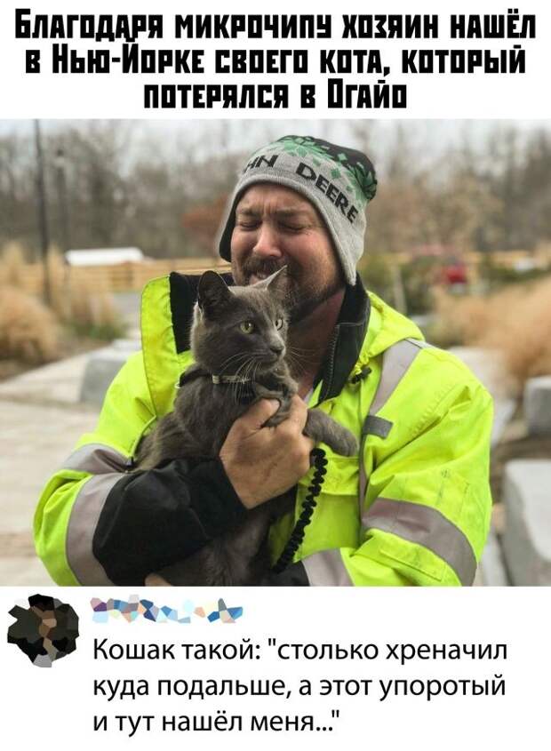 kartinok-prikolnyh-podborka-kartinki-smeshnye-kartinki-fotoprikoly