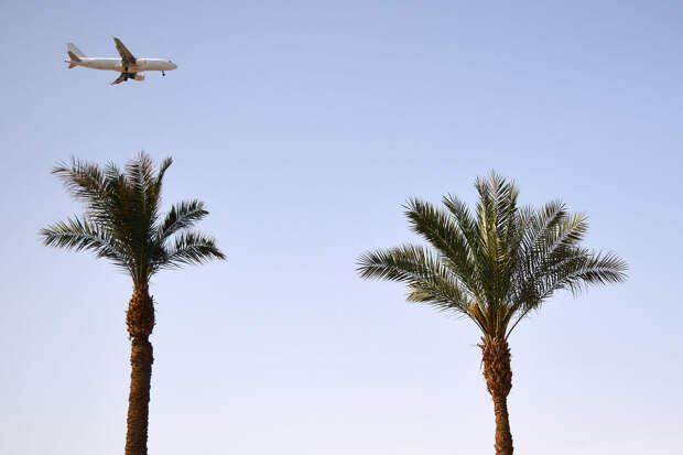 РИА: компании попросили 13 млн рублей за перевозку впавшей в кому россиянки