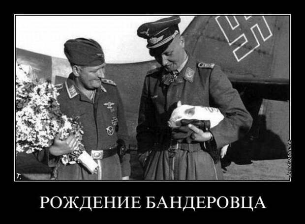 Картинки про Украину 8