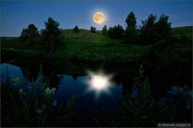 Лунная ночь полнолуние луна река русалки картина