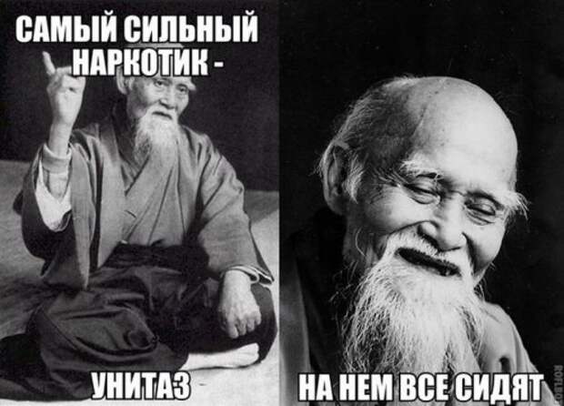 Прикольных картинок много не бывает (33 шт)