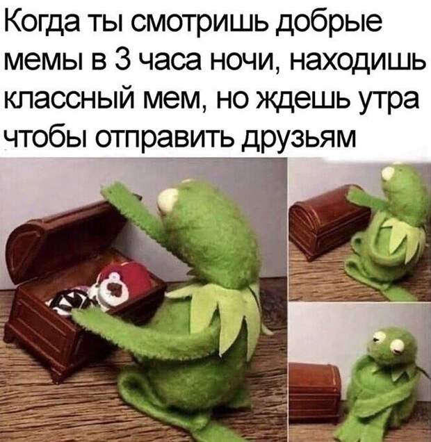 Смешные и познавательные картинки
