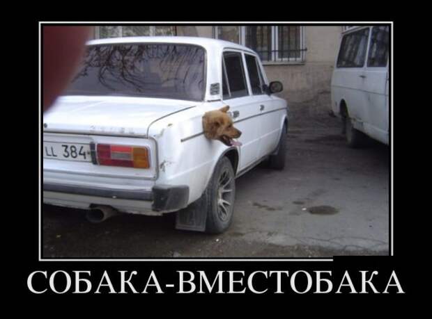 Демотиваторы (30 фото)