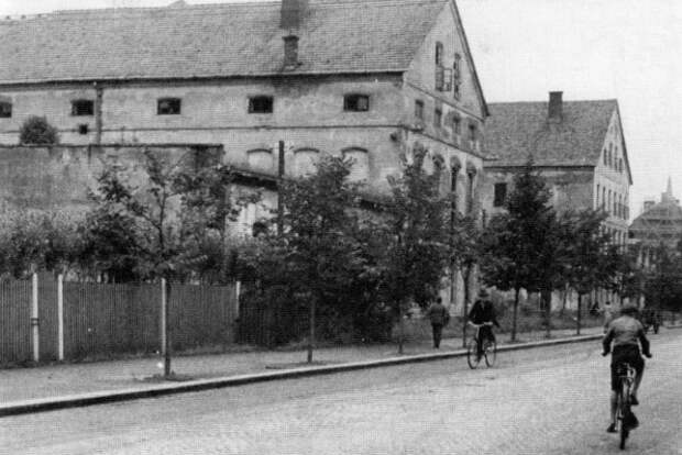 Фото: commons.wikimedia.org