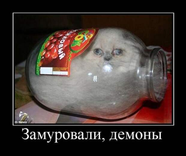 Самые новые и смешные демотиваторы на нашем сайте, прямо сейчас!