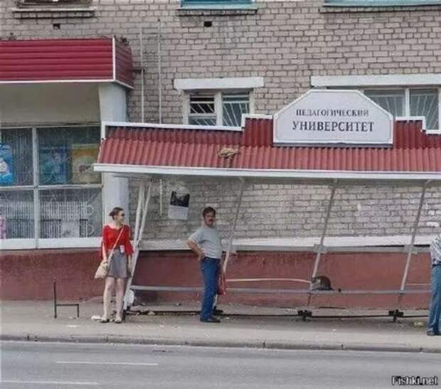 Строительные приколы ошибки и маразмы. Подборка chert-poberi-build-chert-poberi-build-12501211092020-12 картинка chert-poberi-build-12501211092020-12