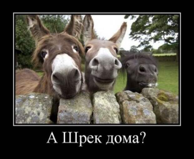 Обо всём.