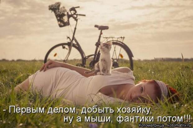 Новая котоматрица (30 фото)