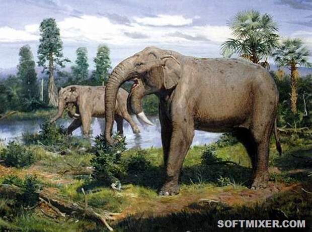 _Deinotherium