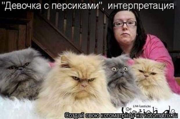 Котоматрица для ночных посетителей Поржать.ру