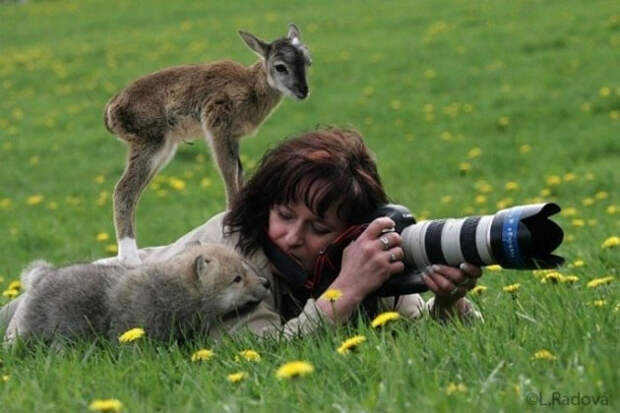 http://www.fotoscope.ru/uploads/posts/2013-04/1366553369_tanya-askani-01.jpg