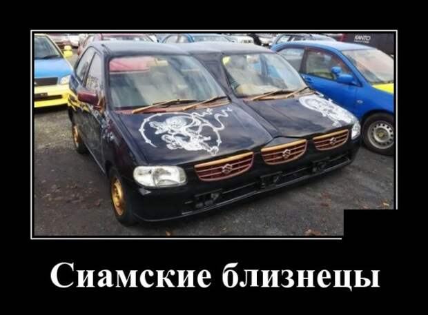 Демотиваторы (30 фото)