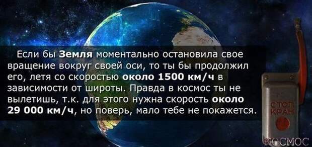 Картинки со смешными подписями картинки, юмор, прикол