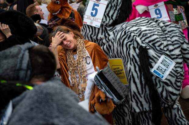 Веселая гонка лошадей London Pantomime Horse Race 2018