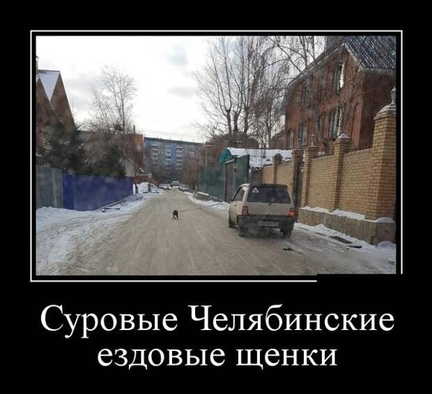 Демотиваторы (30 фото)