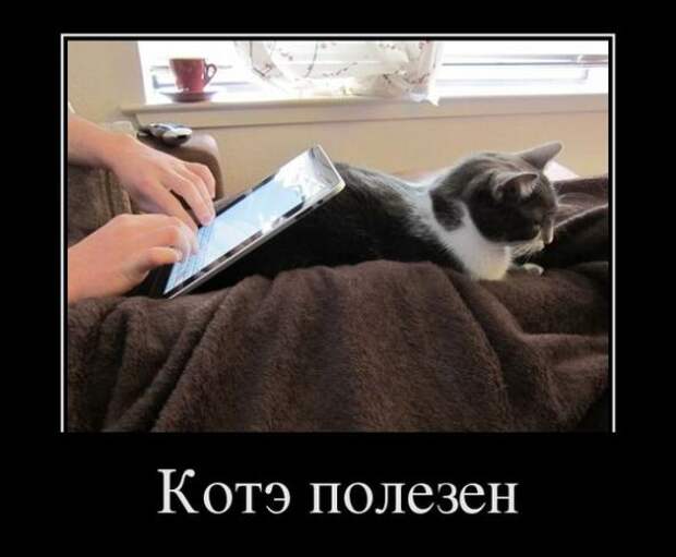 Демотиваторы " 101 %" 20/04/12